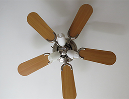 Потолочный вентилятор Medas в московской квартире