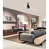 Потолочный вентилятор Mini Eterfan Black Shiny Trans DC 32026