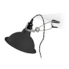Светильник настенный Pepper black 64169