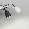 Лампа настольная Studio black+creme 51133