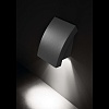 Уличный настенный светильник Proa dark grey 74400