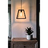 Подвесной светильник Faro Rose black 65082
