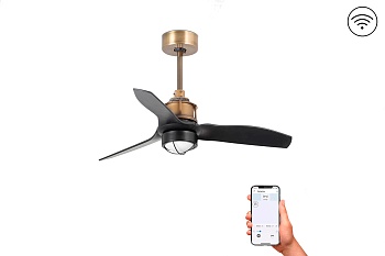 Люстра-вентилятор Mini Just Fan Led Old Gold Black DC Smart 33429WP-10